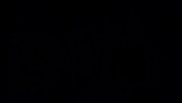 Dota Dragons Blood - Season 01 Episode 04